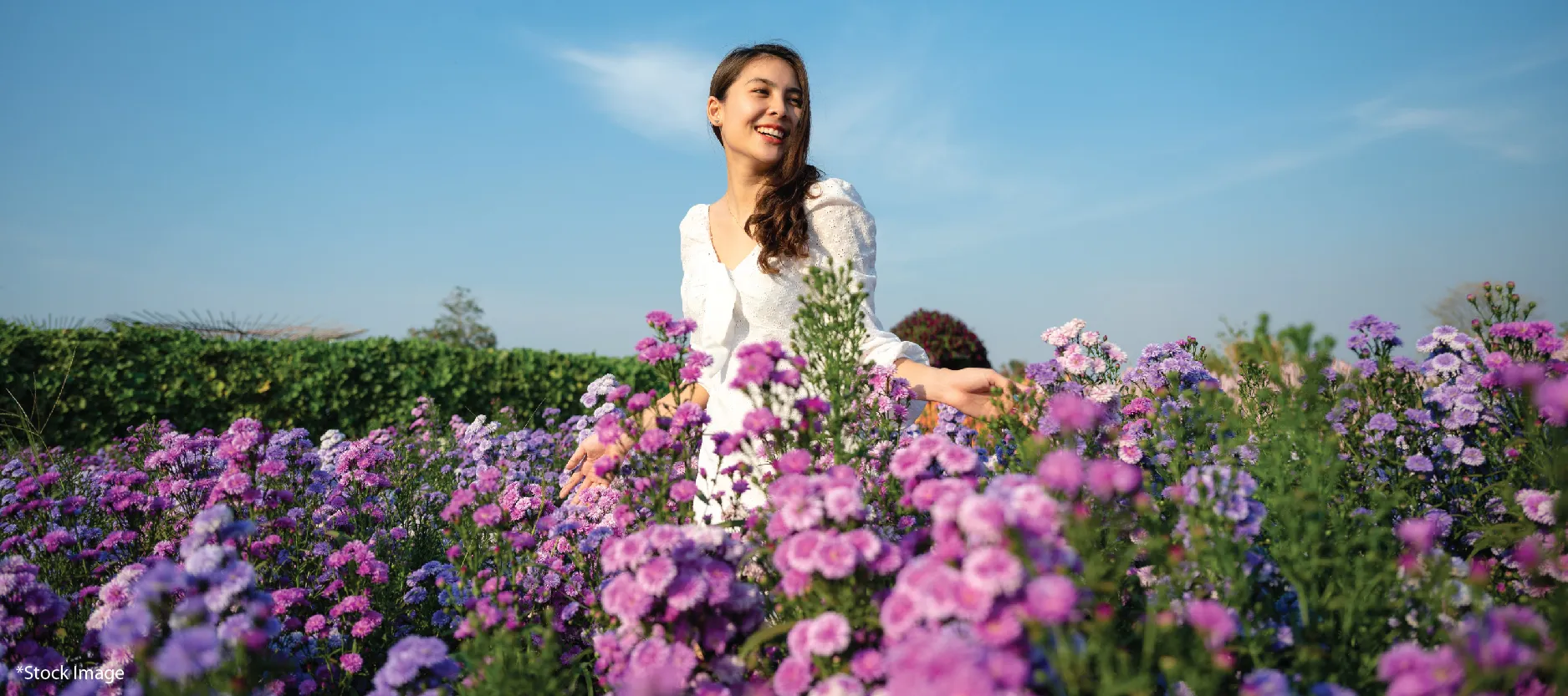 Aroma Garden with Walkway